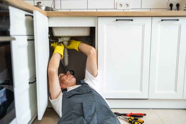 Best Clogged Drain Plumber  in Canal Winchester, OH